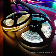 12v IP68 Led Strips Cob Strip Light